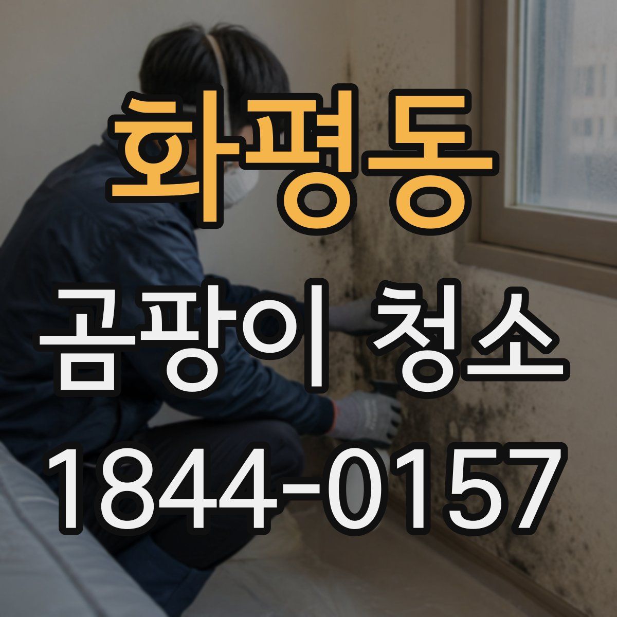 화평동 곰팡이 청소