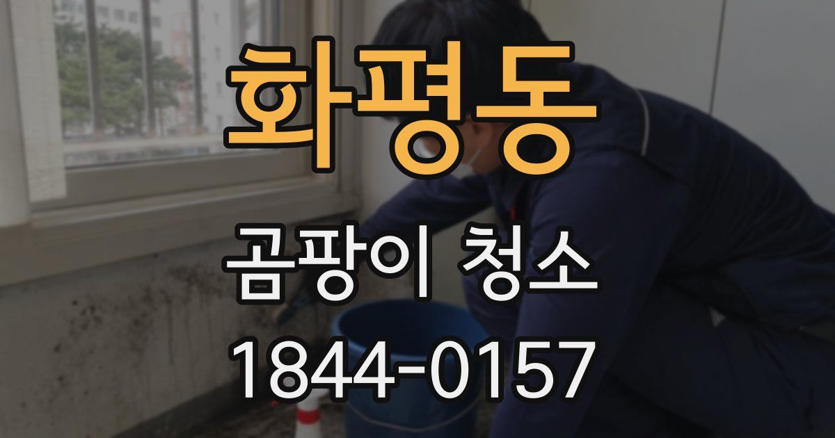 화평동 곰팡이 청소