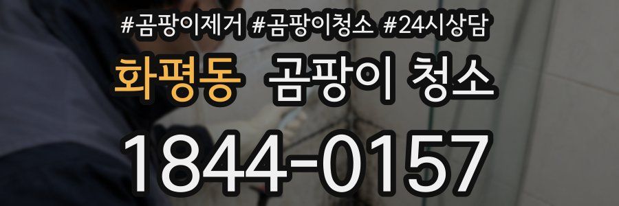 화평동 곰팡이 청소