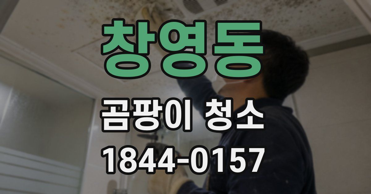 창영동 곰팡이 청소