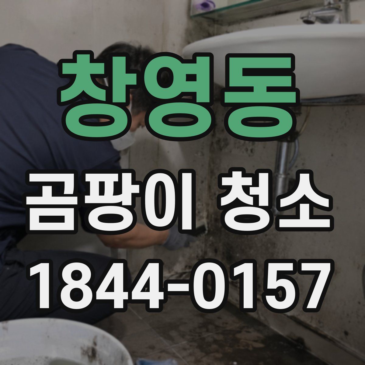 창영동 곰팡이 청소