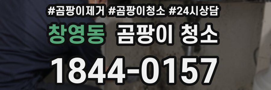 창영동 곰팡이 청소