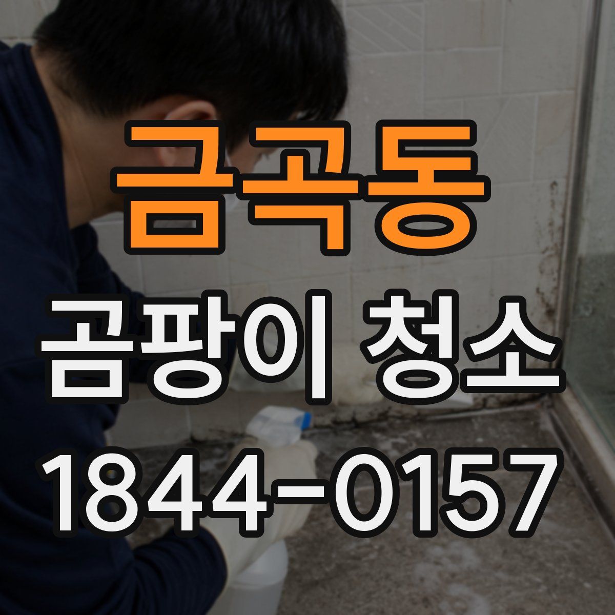 금곡동 곰팡이 청소