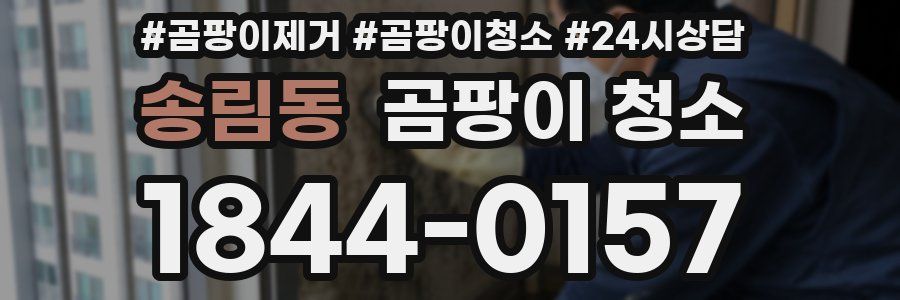 송림동 곰팡이 청소