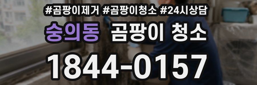 숭의동 곰팡이 청소