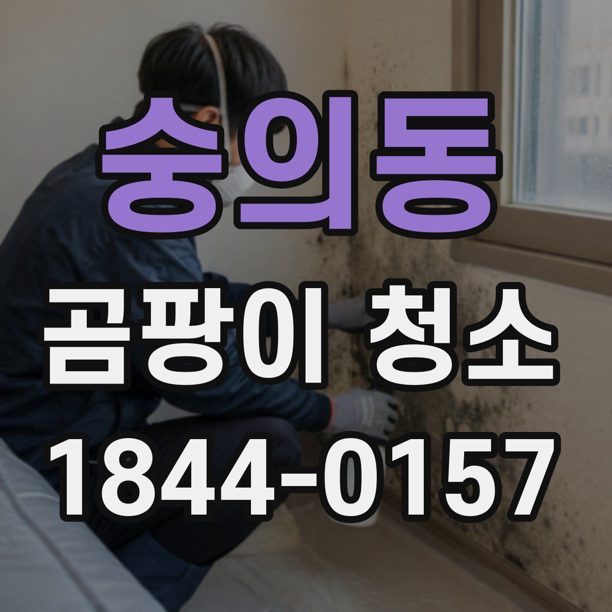 숭의동 곰팡이 청소