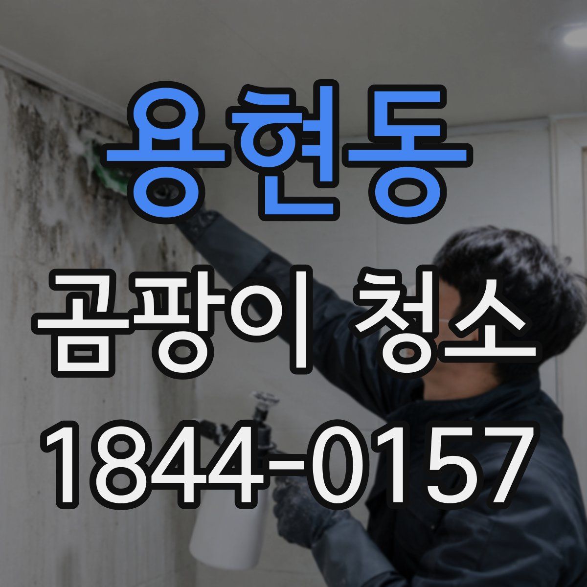 용현동 곰팡이 청소