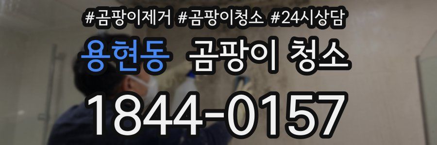 용현동 곰팡이 청소