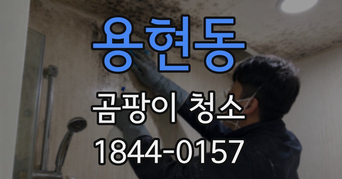 용현동 곰팡이 청소