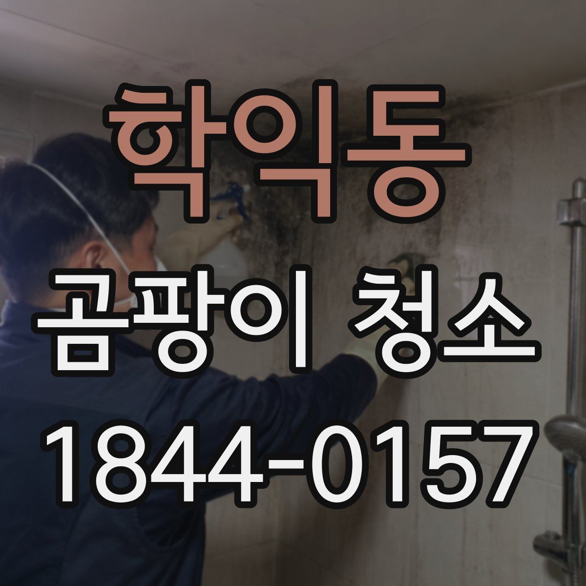 학익동 곰팡이 청소