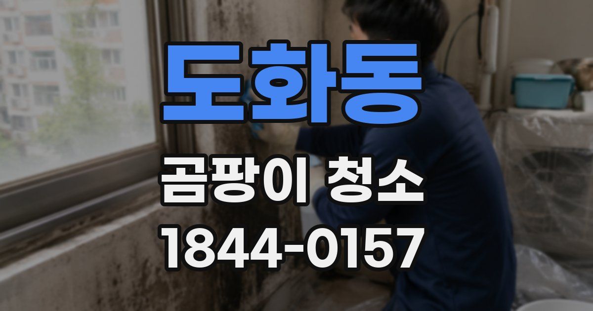도화동 곰팡이 청소