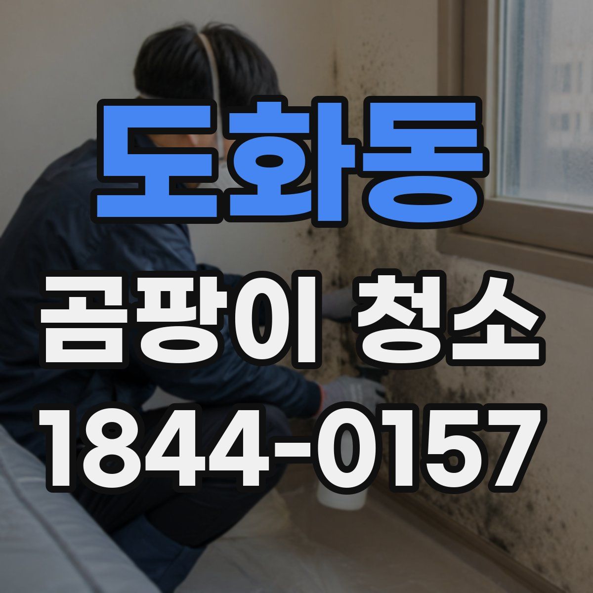 도화동 곰팡이 청소