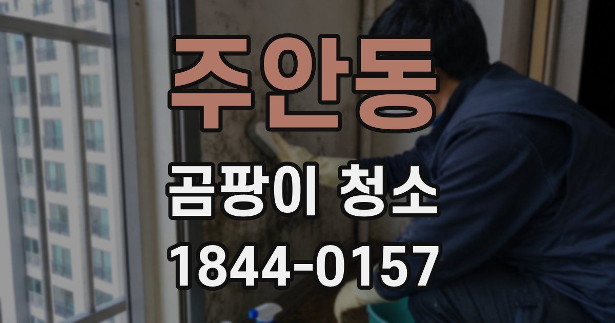 주안동 곰팡이 청소