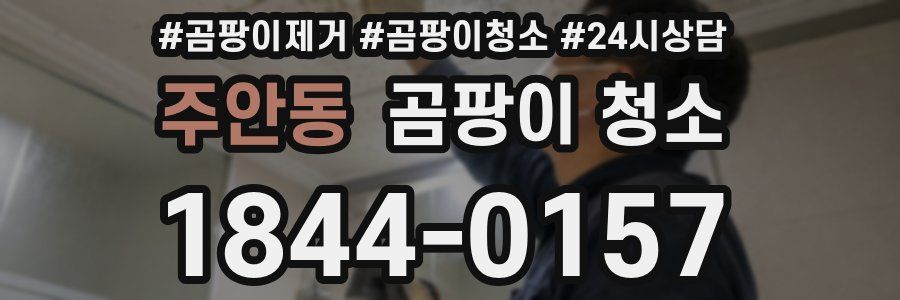 주안동 곰팡이 청소