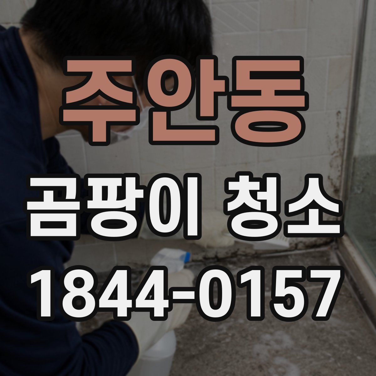 주안동 곰팡이 청소