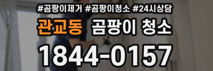 관교동 곰팡이 청소