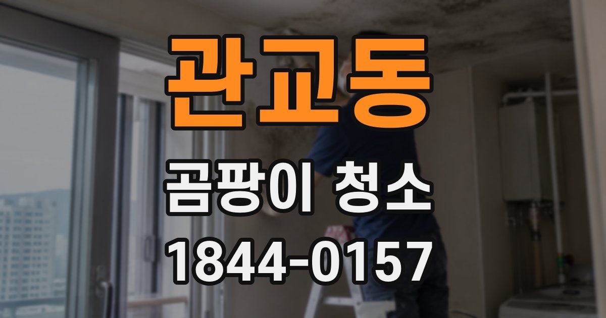 관교동 곰팡이 청소