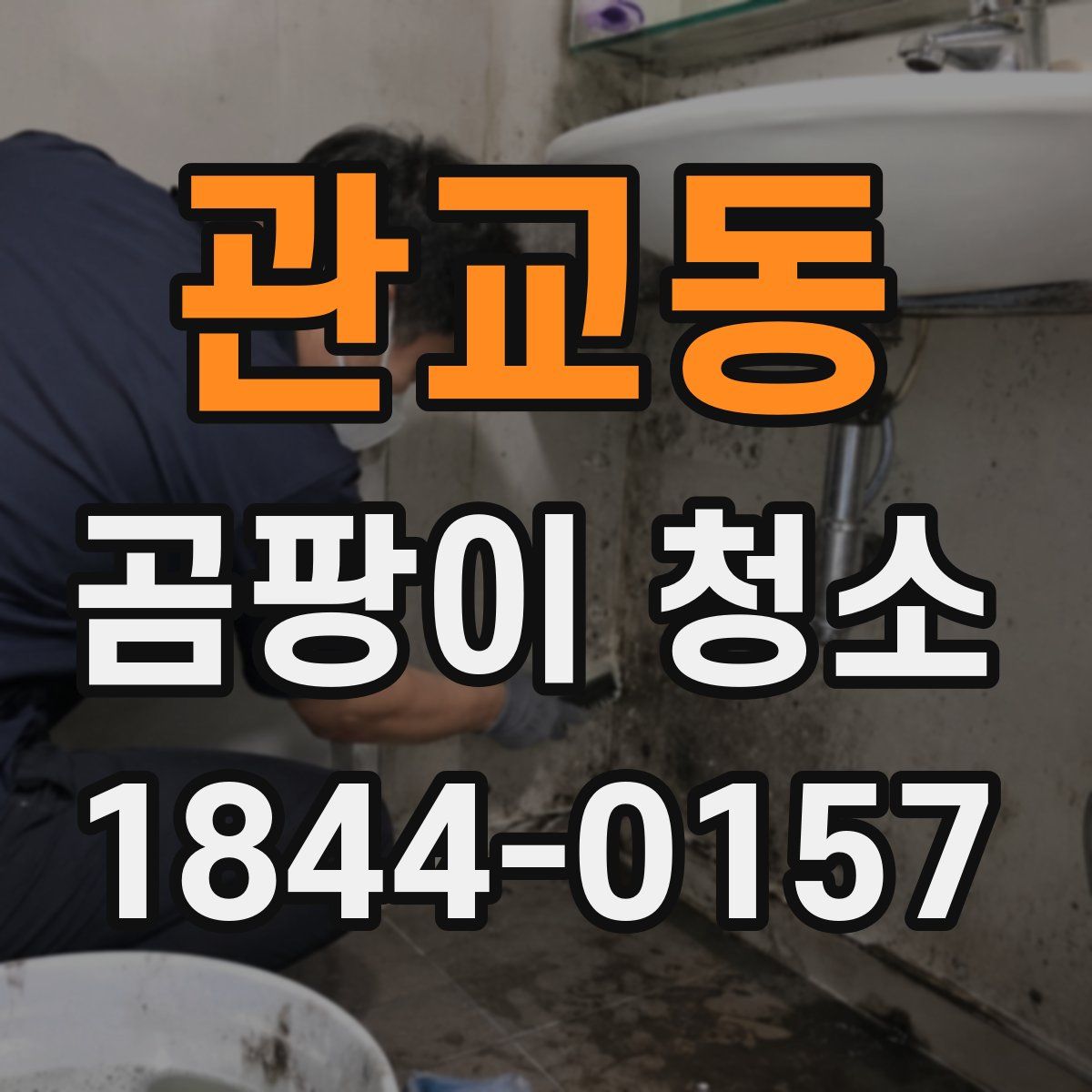 관교동 곰팡이 청소