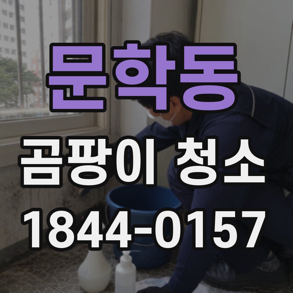 문학동 곰팡이 청소