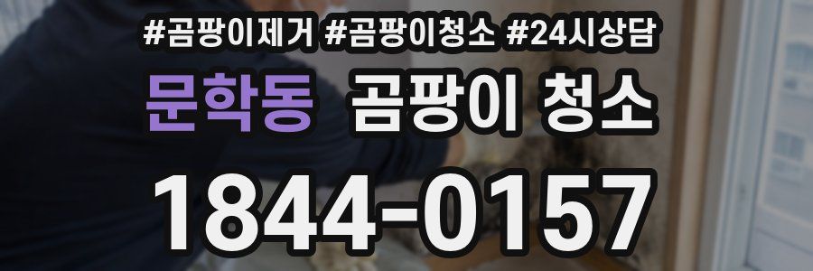 문학동 곰팡이 청소