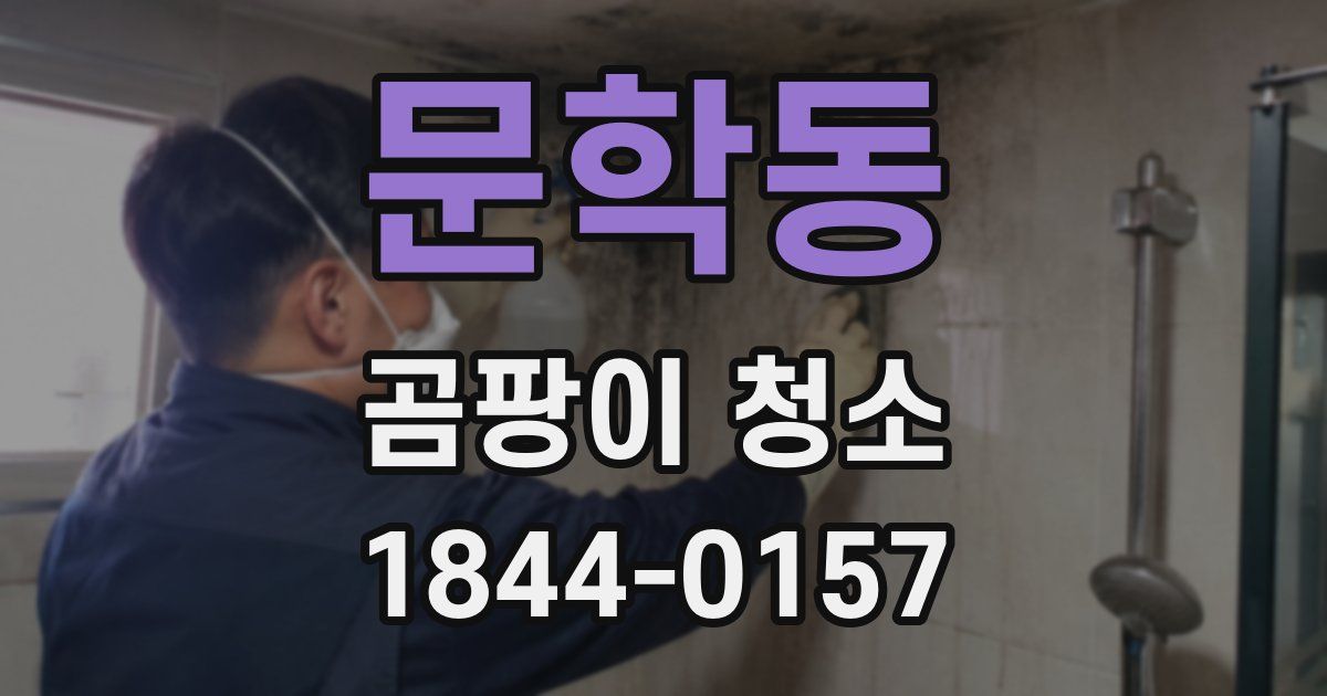 문학동 곰팡이 청소