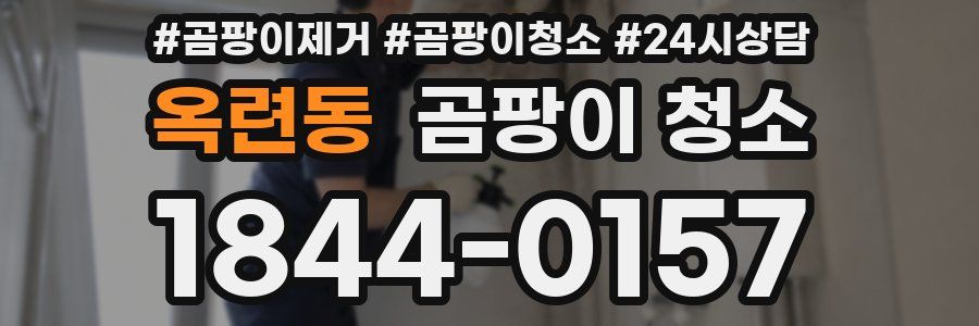옥련동 곰팡이 청소