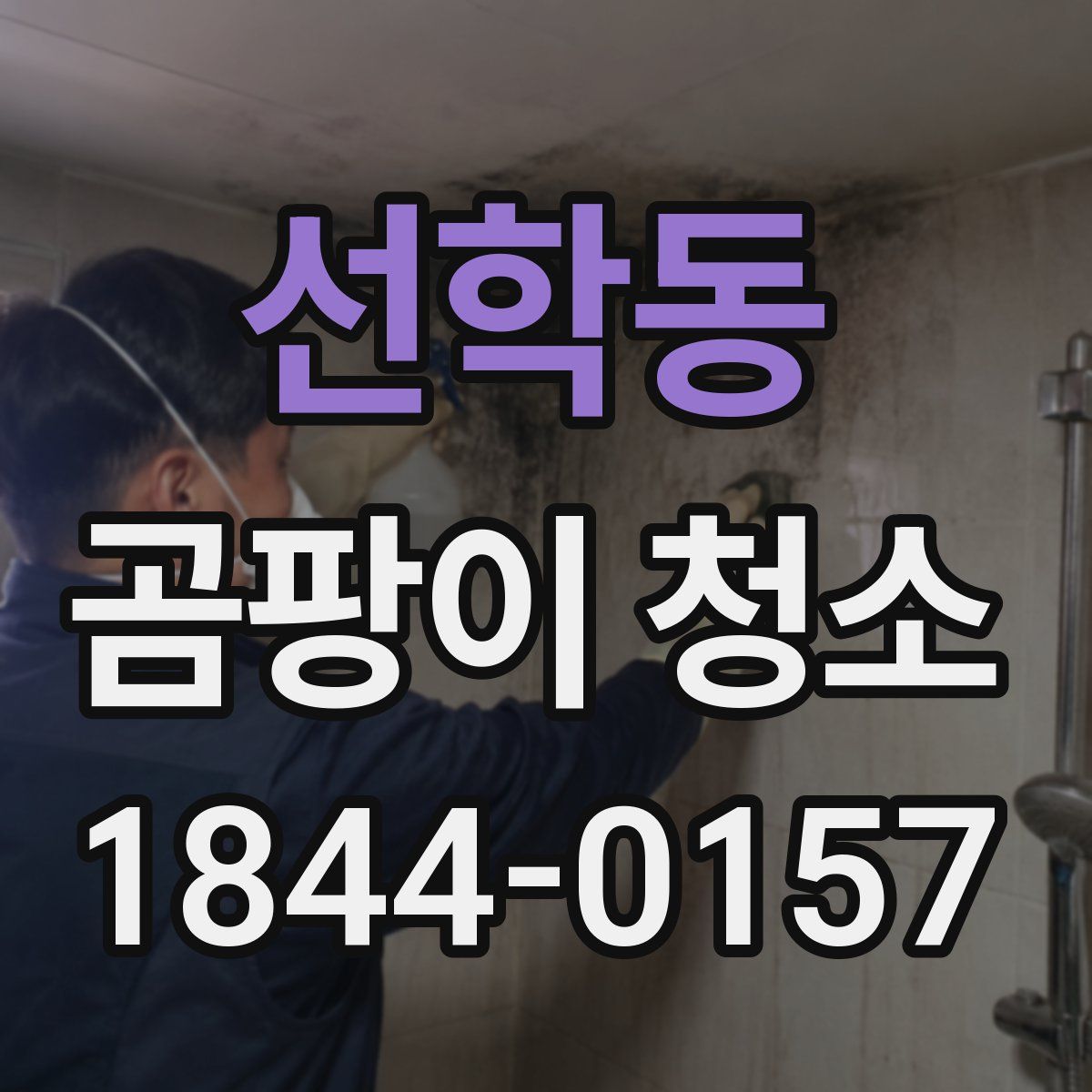 선학동 곰팡이 청소