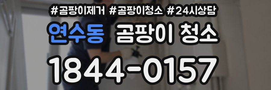 연수동 곰팡이 청소