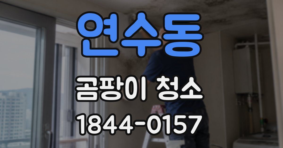 연수동 곰팡이 청소