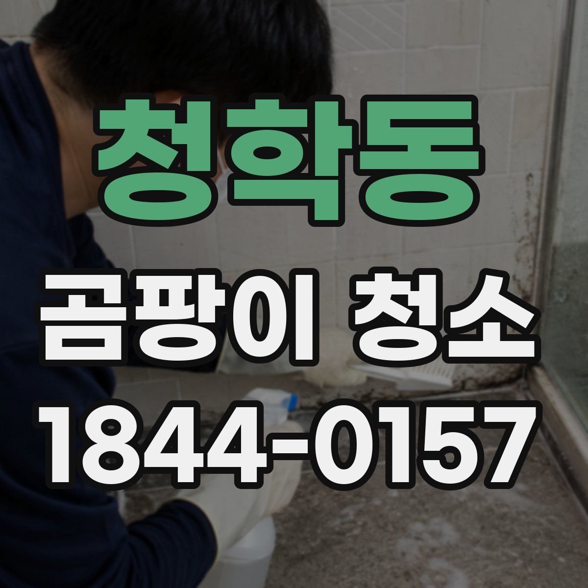 청학동 곰팡이 청소