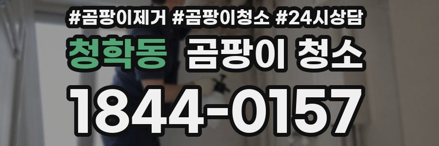 청학동 곰팡이 청소