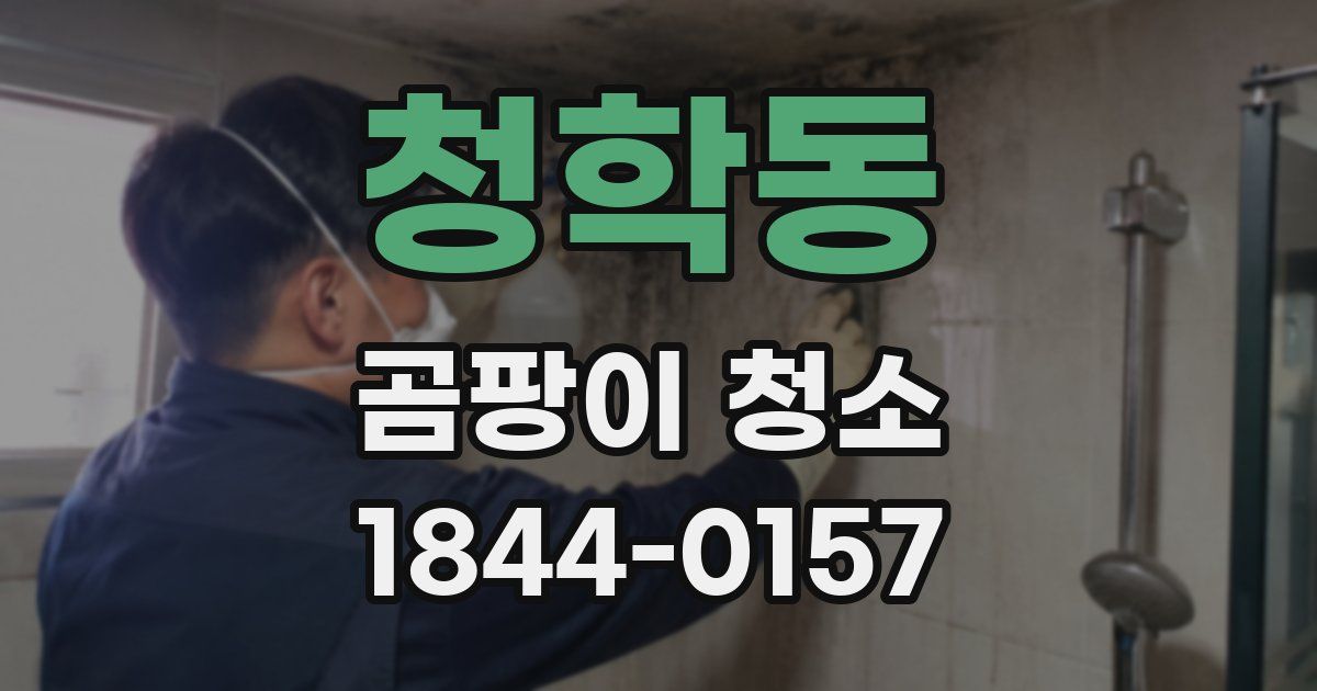 청학동 곰팡이 청소
