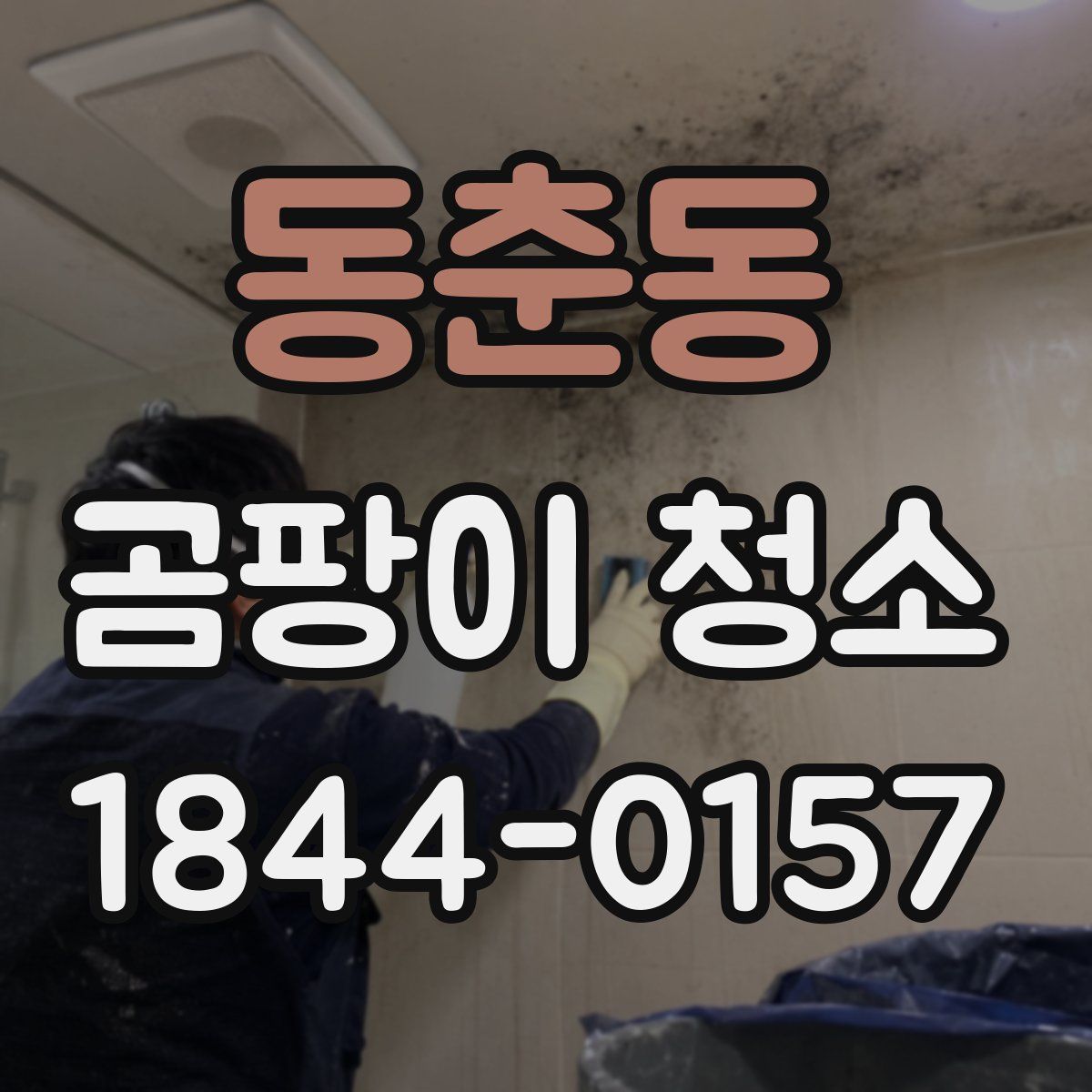 동춘동 곰팡이 청소