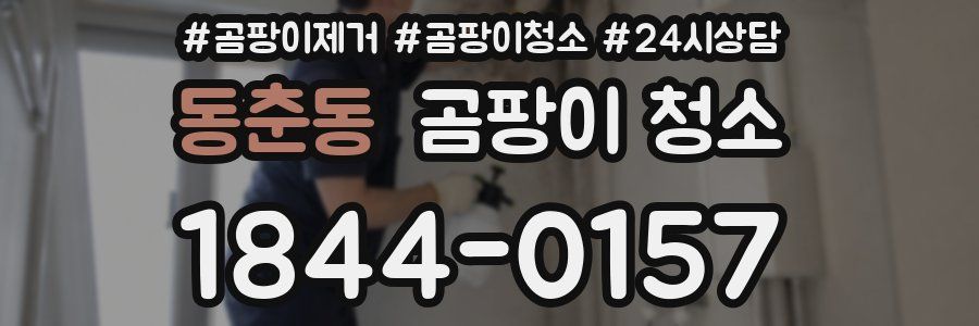 동춘동 곰팡이 청소
