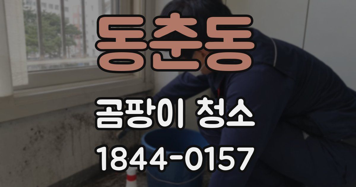 동춘동 곰팡이 청소