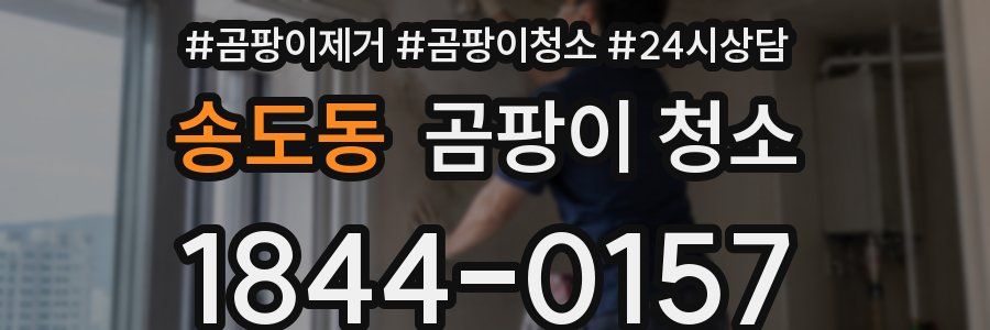 송도동 곰팡이 청소