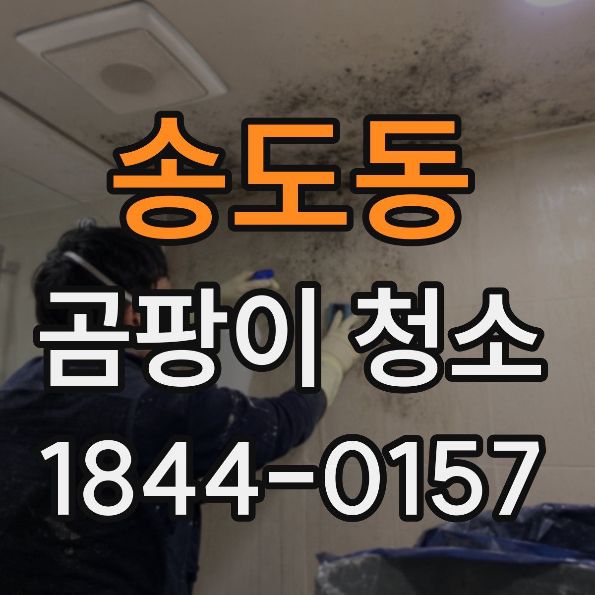 송도동 곰팡이 청소