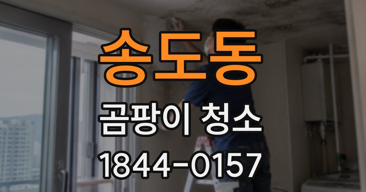 송도동 곰팡이 청소