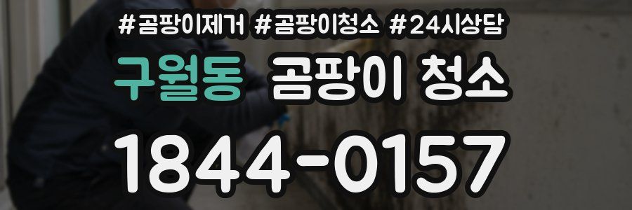 구월동 곰팡이 청소
