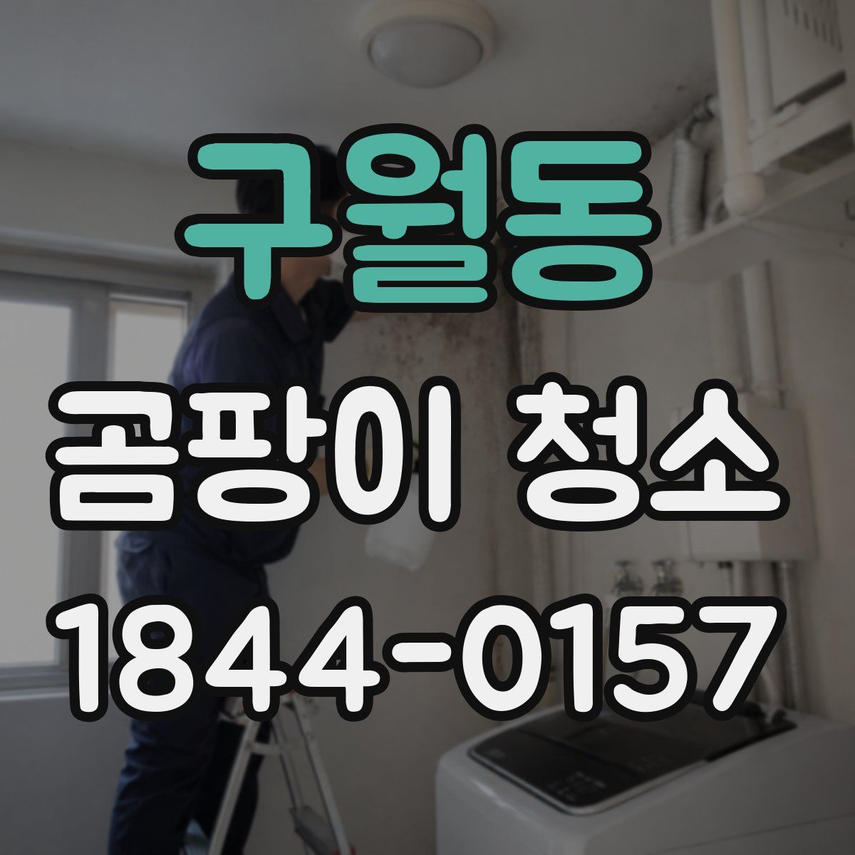 구월동 곰팡이 청소