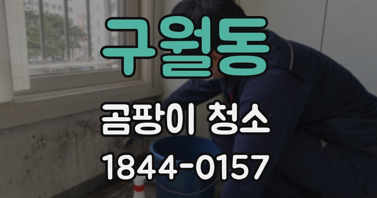 구월동 곰팡이 청소