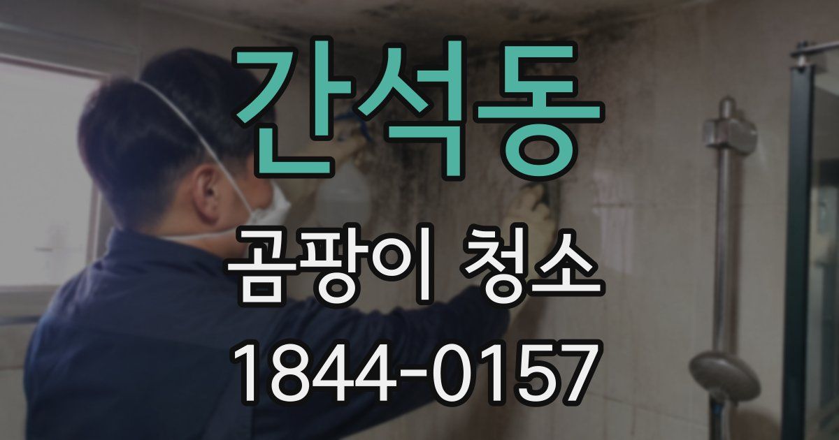 간석동 곰팡이 청소