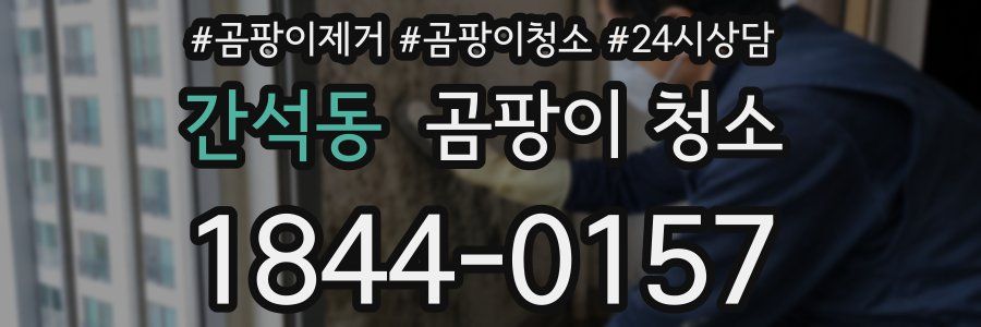 간석동 곰팡이 청소