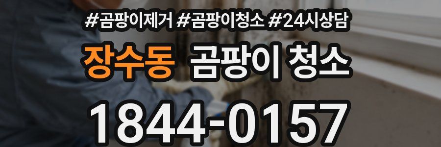 장수동 곰팡이 청소