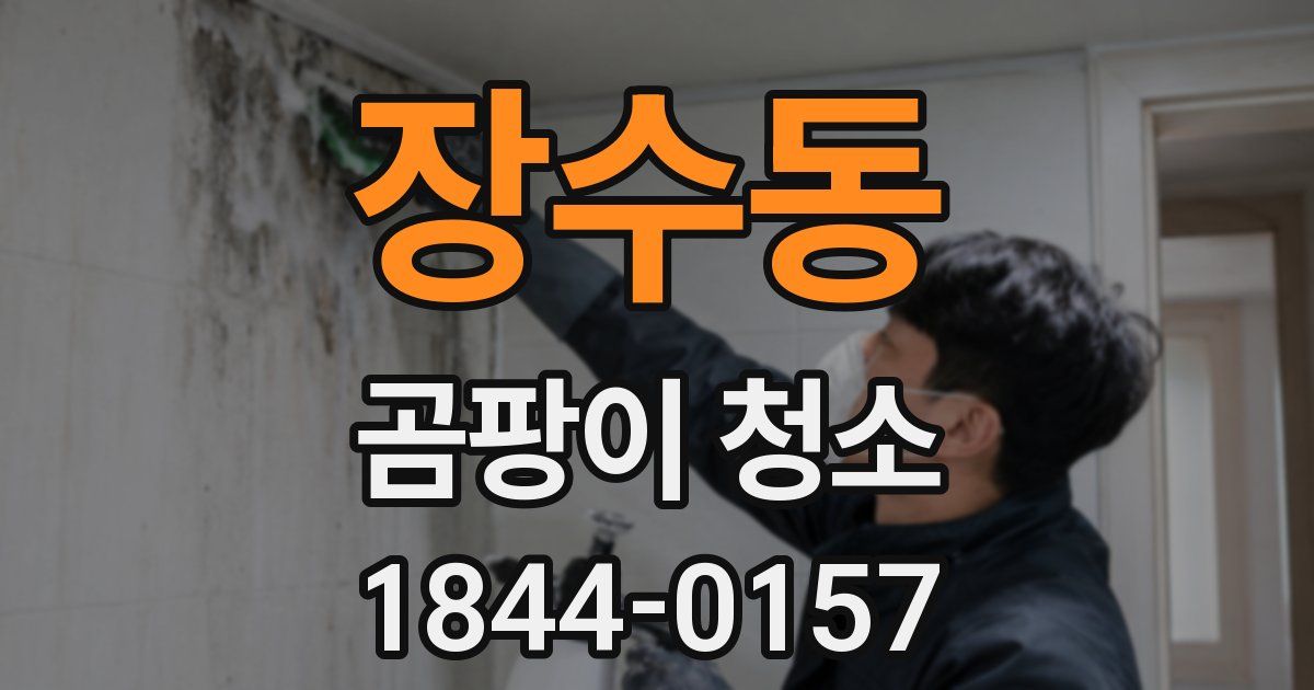장수동 곰팡이 청소