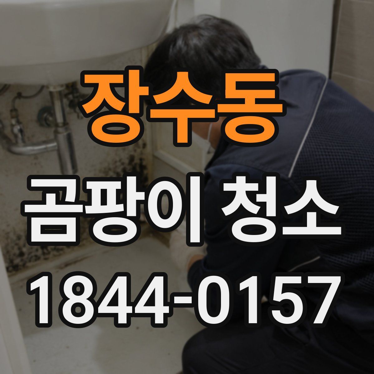 장수동 곰팡이 청소