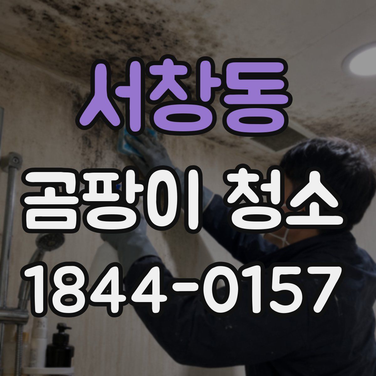 서창동 곰팡이 청소