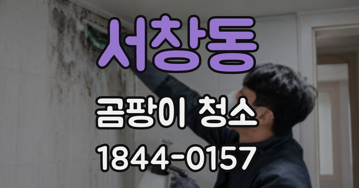 서창동 곰팡이 청소