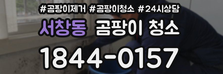 서창동 곰팡이 청소