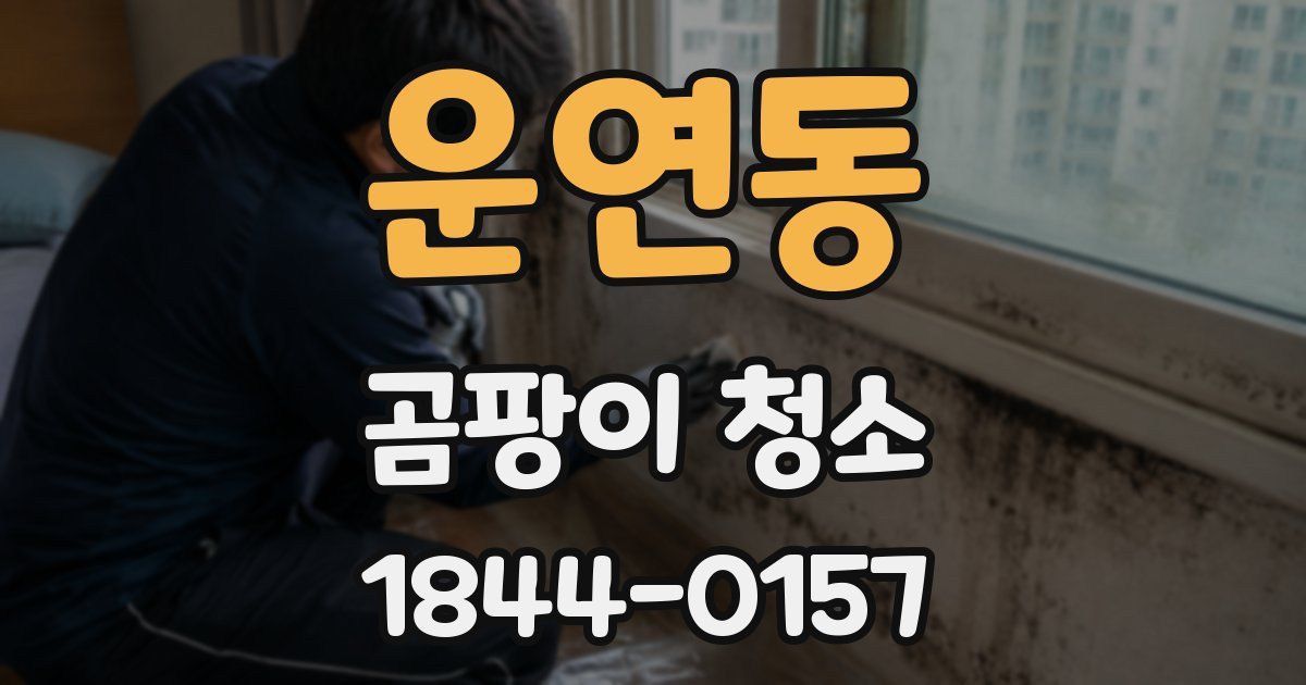 운연동 곰팡이 청소